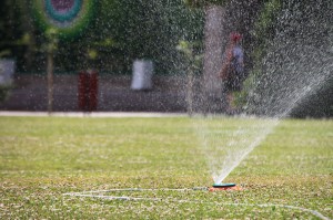 Manutenzione Giardini Vicenza, impianti di irrigazione vicenza, fontane da giardino Vicenza