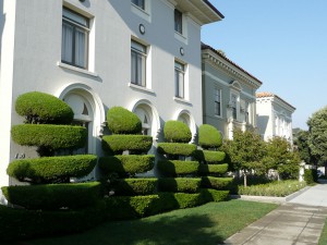 taglio siepi vicenza