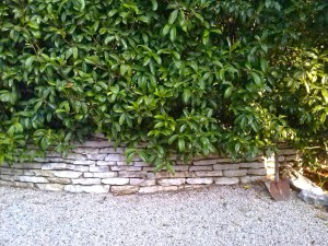 muretti e camminamenti da giardino vicenza