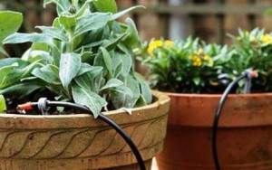 Impianti di Irrigazione su Terrazzo o Balcone Vicenza