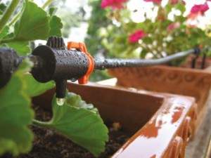 Impianti di Irrigazione su Terrazzo o Balcone Vicenza