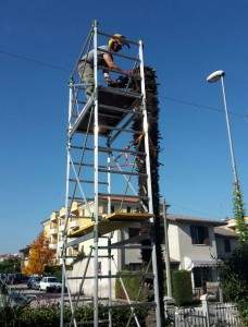 Abbattimento Alberi, Potatura Siepi a Vicenza