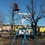 Abbattimento Alberi Potatura Siepi a Vicenza